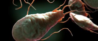 Эхинококк и лямблии в крови