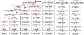 Можно ли создать семью троюродным братьям и сестрам