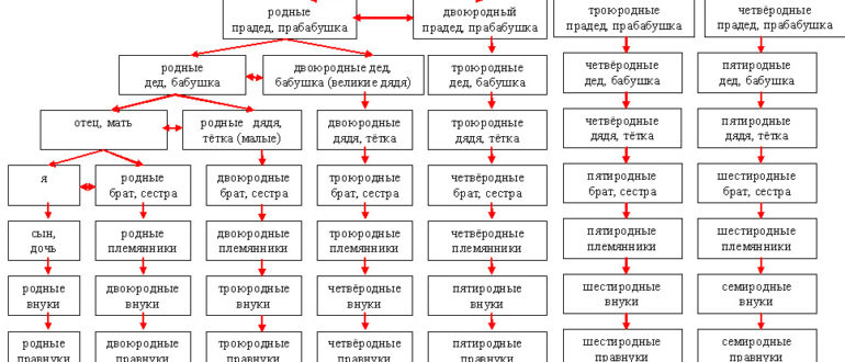 Можно ли создать семью троюродным братьям и сестрам