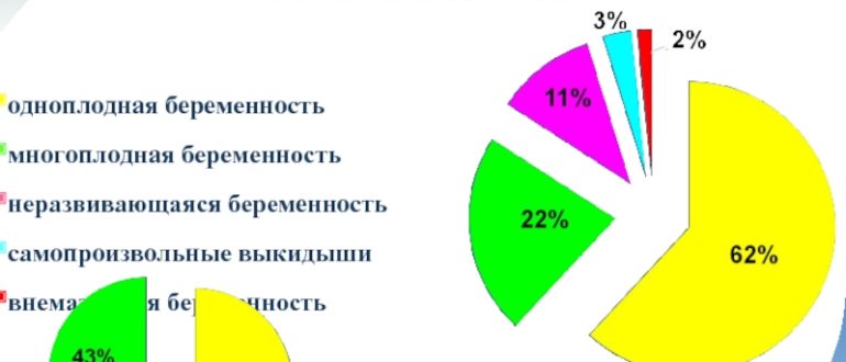 Многоплодная или одноплодная беременность?