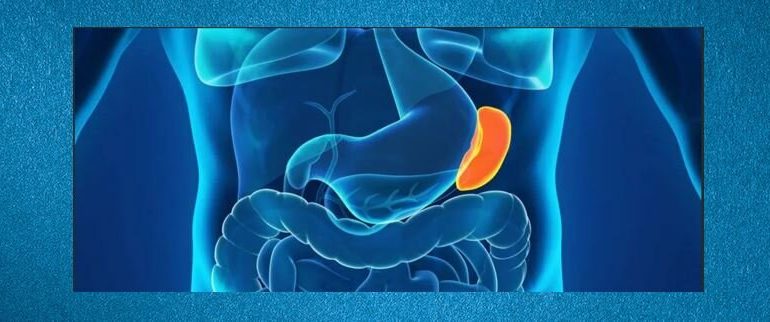 Можно ли рожать без селезенки