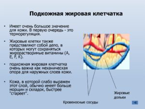 Восстановление подкожно жировой клетчатки