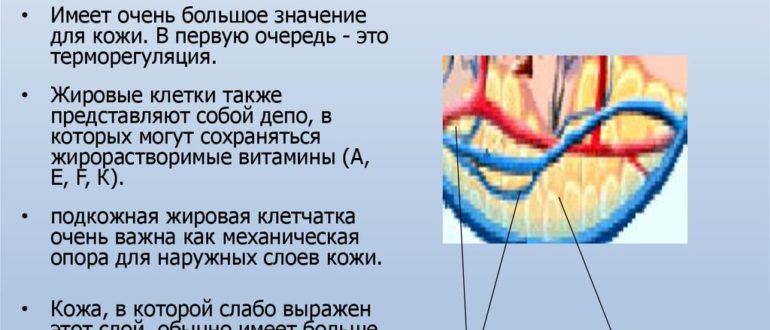 Восстановление подкожно жировой клетчатки