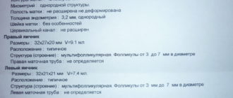 УЗИ при приеме ОК