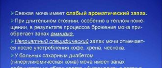 Моча пахнет амиаком