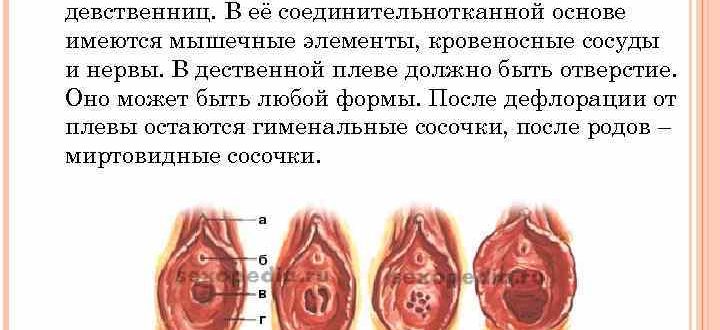 Наличие девственной плевы по фото