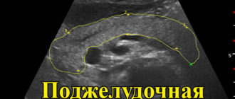 Узи поджелудочной у ребенка