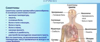 Высокая температура боли в горле и мышцах