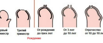 Во сколько должна быть открыта головка