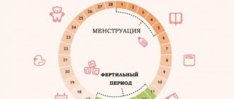 Можно ли забеременеть на следующий день после окончания менструации?