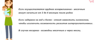 Месячные после родов на ГВ