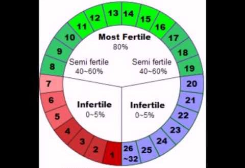 Может ли быть овуляция за день до месячных?