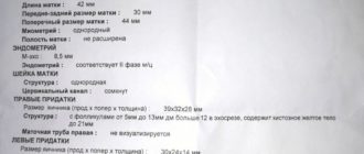 Узи органов малого таза, день цикла