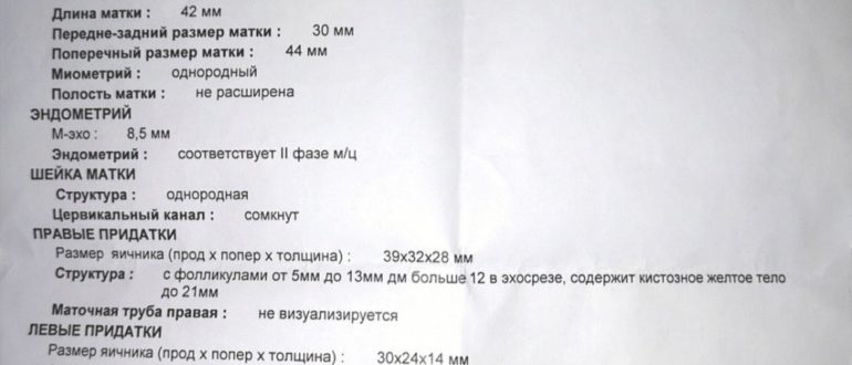 Узи органов малого таза, день цикла