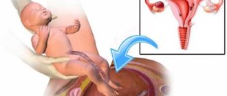 Начал болеть живот, через2.5 месяца после родов в сексе