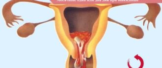 Месячные шли 4 дня вместо 7