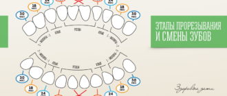 В годик нет зубов и небольшой рост