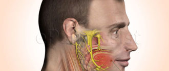 Дергаются мышцы за ухом, под глазом, над коленями