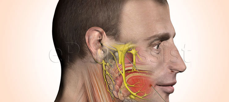 Дергаются мышцы за ухом, под глазом, над коленями